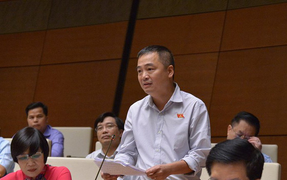 ĐBQH: Không thể dùng lòng tốt khắc phục hậu quả bão lụt từ năm này sang năm khác